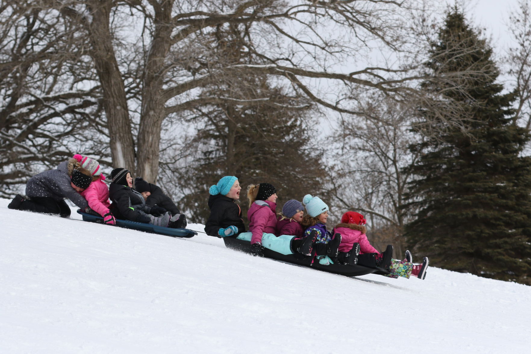 Sledding21.jpg